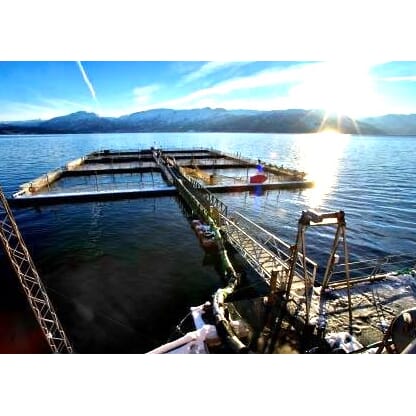 Varsel om mulig prisendring