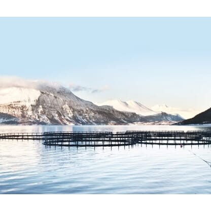 Akvakulturgodkjent desinfeksjon