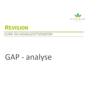 Revisjon GAP-Analyse