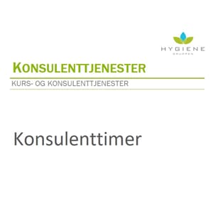 Konsulenttimer